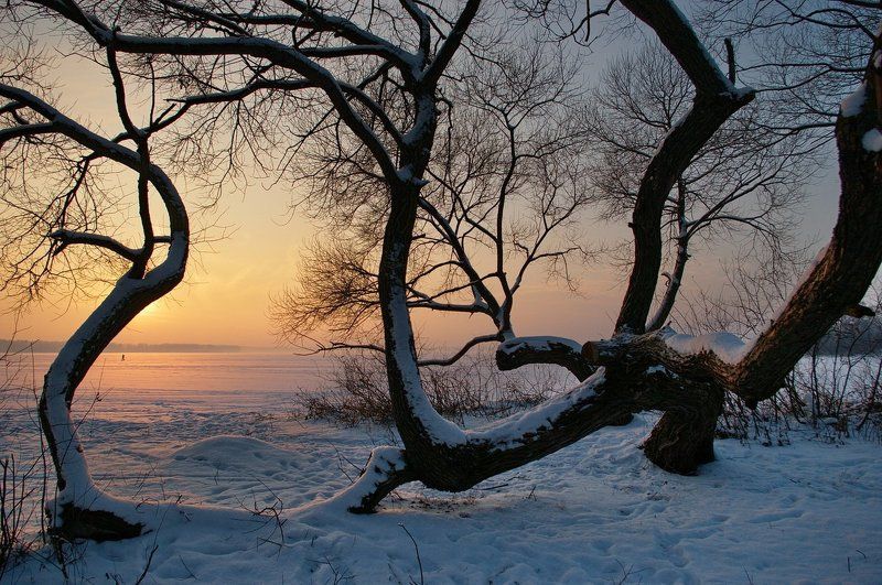 ... 06.01.16 ...photo preview