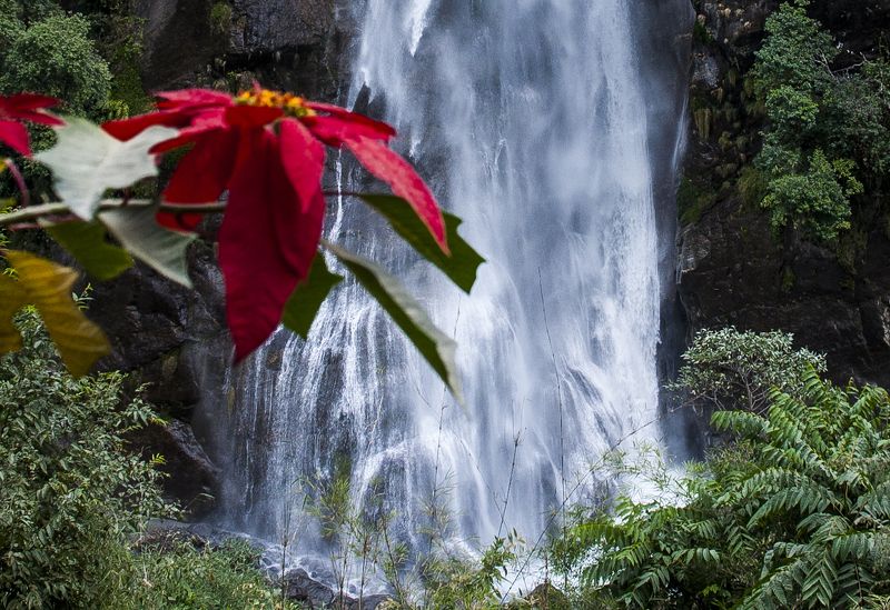 Непальские картинки фото превью
