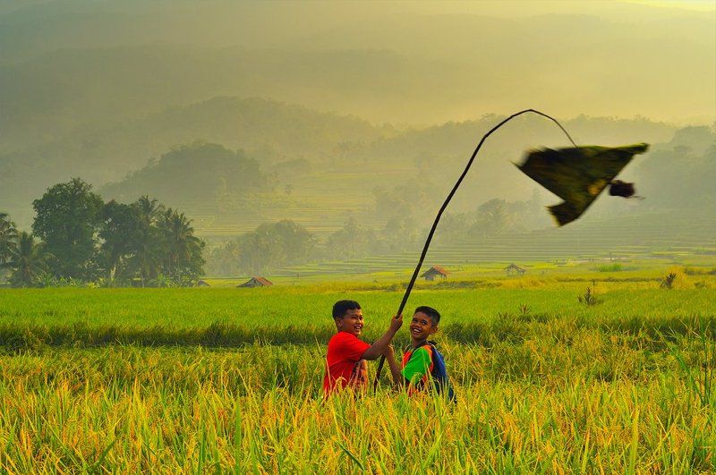 Human, Human Interest Repel birdsphoto preview