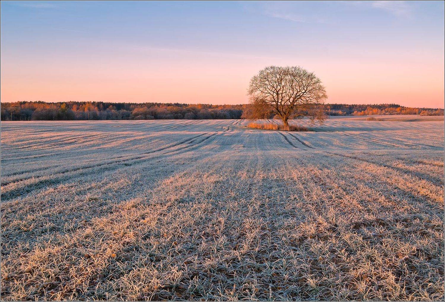***. Автор: Andrew Kuzmin , Andrew Kuzmin