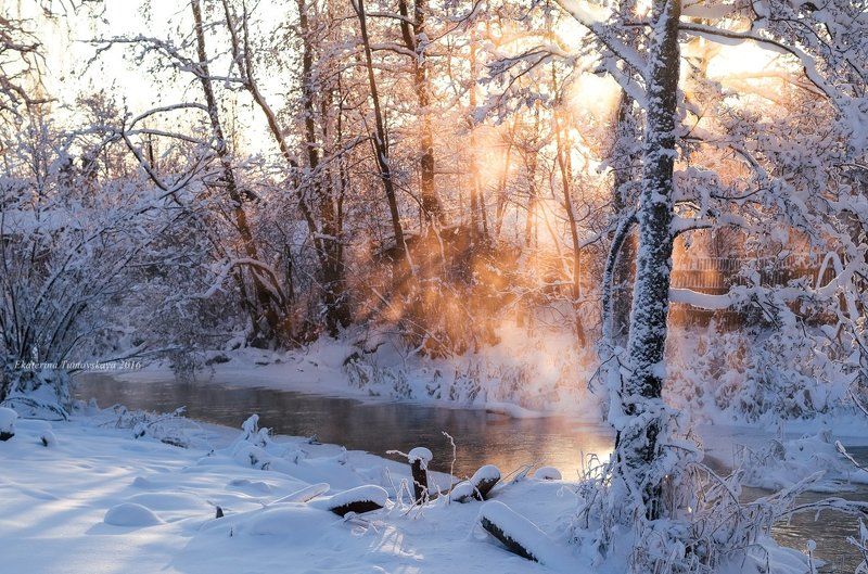С Рождеством и Новым Годом!photo preview