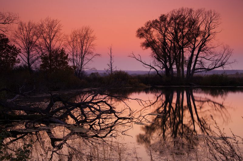 вечер, осень, закат, озеро, отражение, деревья Вечерphoto preview