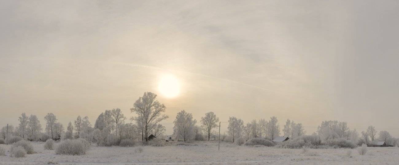 Январская чуть-чуть морозная.. Автор: Руслан Соколов , Руслан Соколов