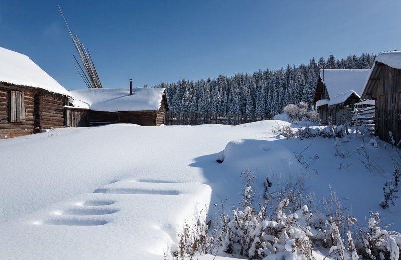 Снег усадьбы лес сугробы избушки зима солнце Снежные задворкиphoto preview