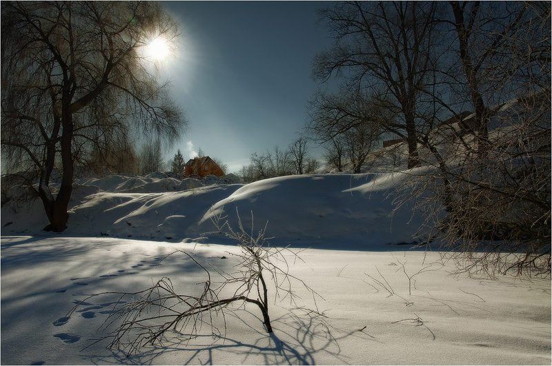 Январский торчокphoto preview