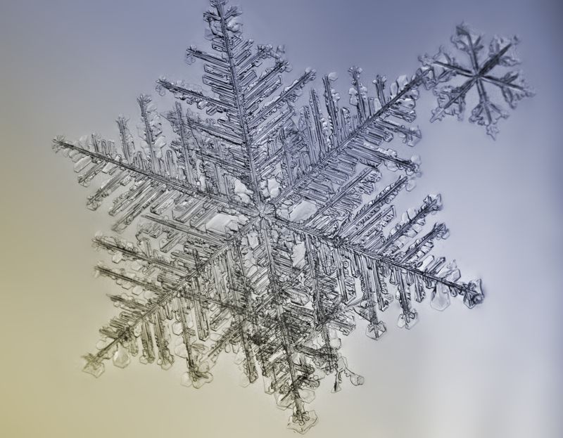 снежинка снежинкиphoto preview