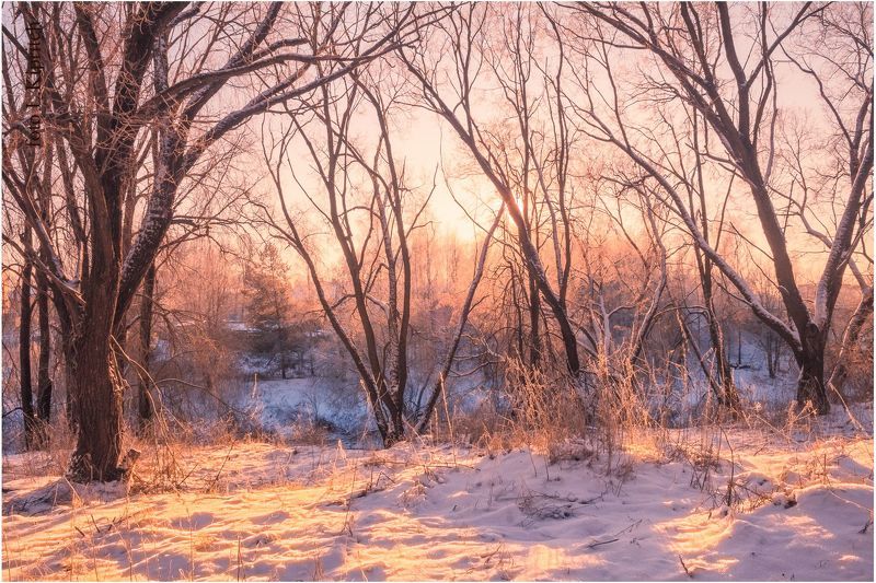 утро морозноеphoto preview