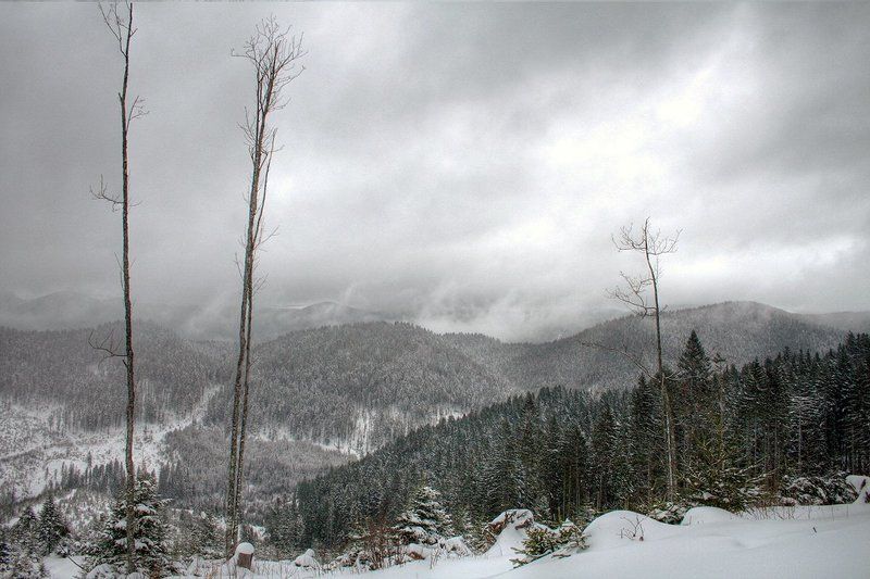 Зима, Карпаты Зима в Карпатахphoto preview