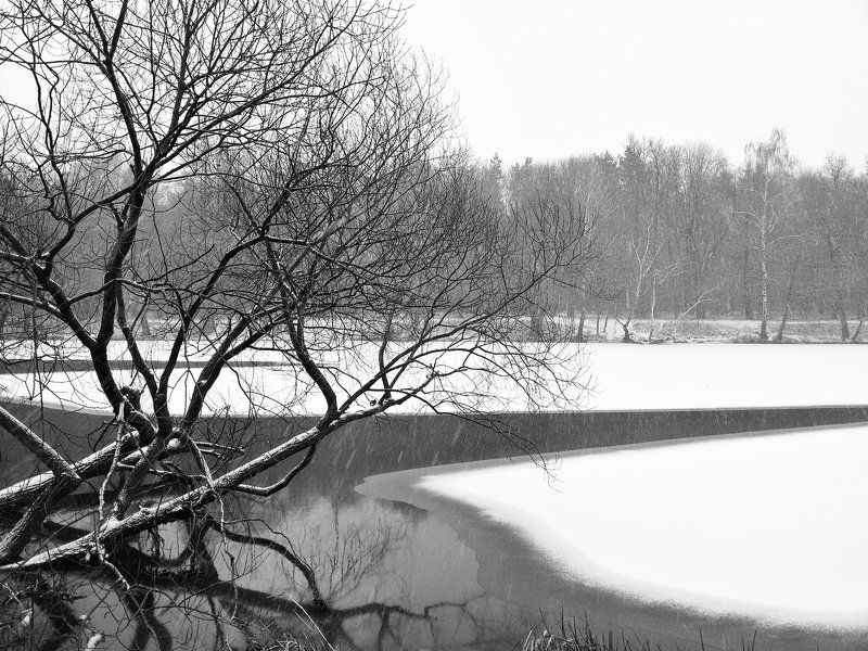 декабрьphoto preview