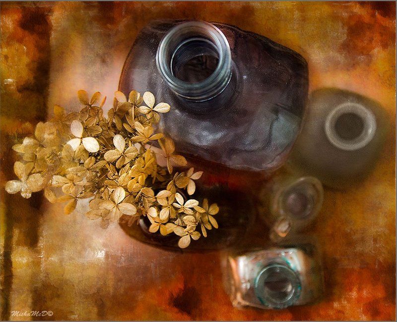 ракурсphoto preview