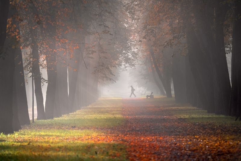 осенняя пора...photo preview