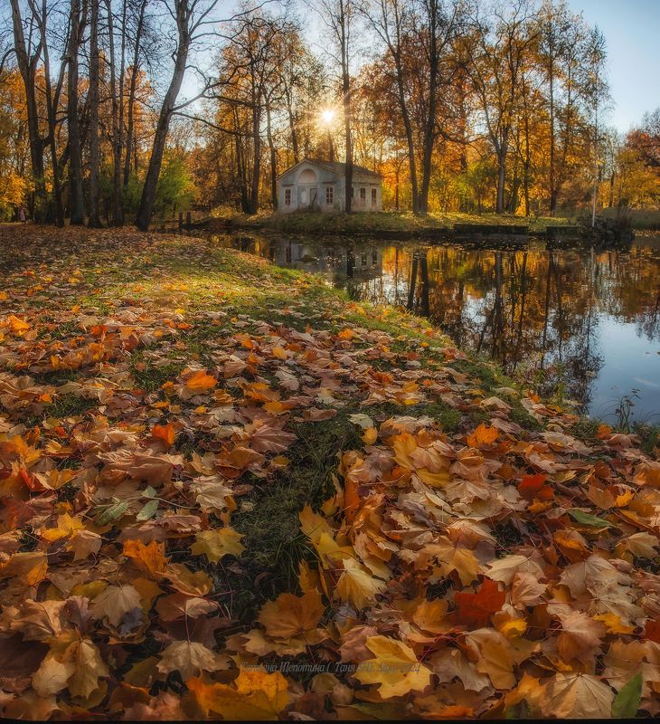 питер, пушкин, царское село, царское,  landscape, tsarskoye selo, autumn,  городской пейзаж, санкт-петербург, закат, александровский парк Александровский паркphoto preview
