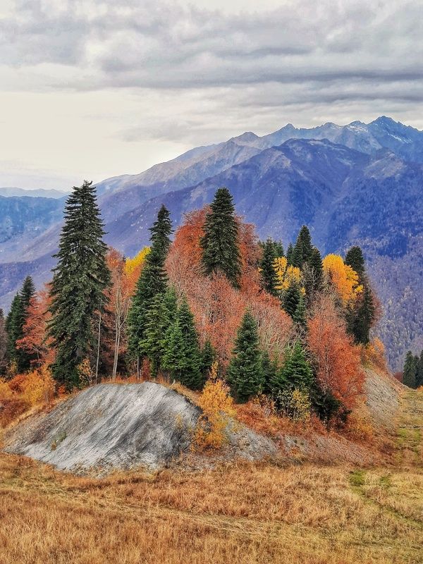 Осень в горах.photo preview