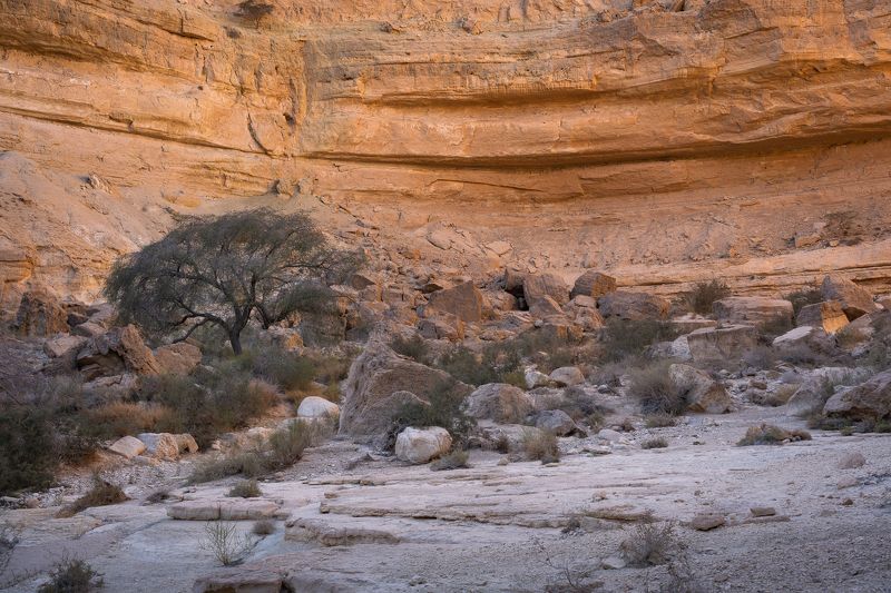 Пустыня Негевphoto preview