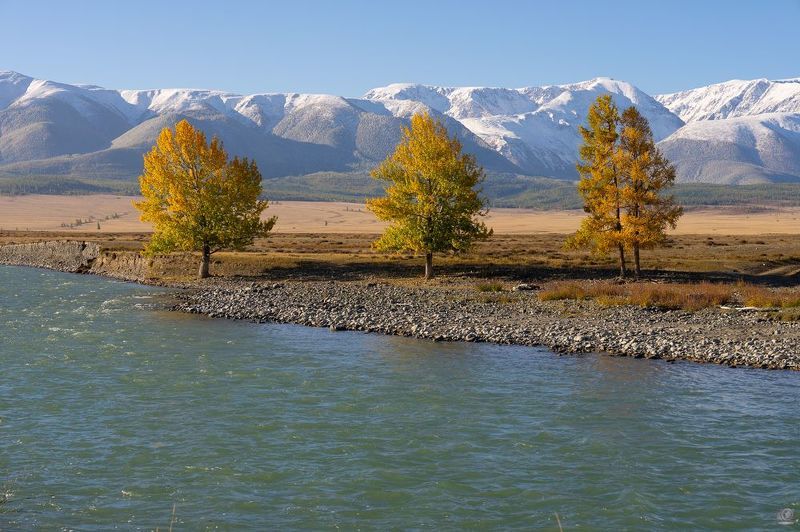 алтай Река Чуяphoto preview