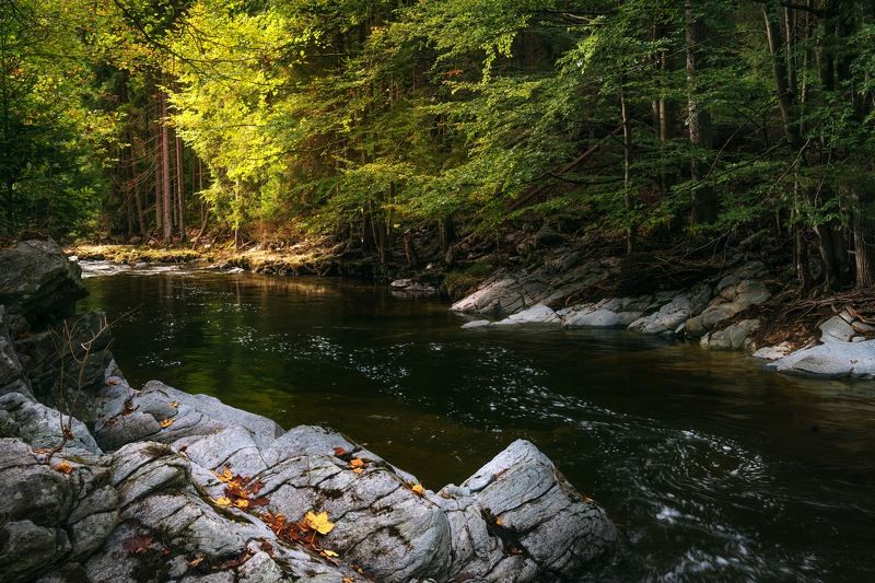 Горная рекаphoto preview