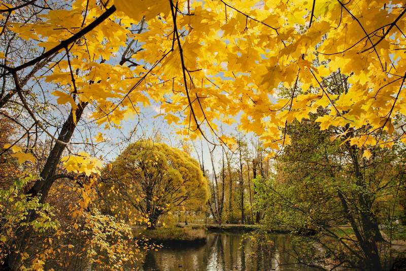 Осень,осеньphoto preview