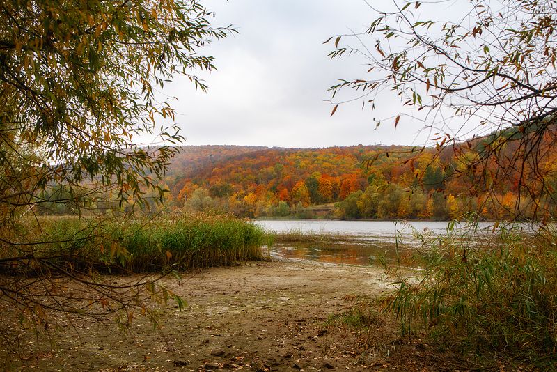 Золотая осень октябряphoto preview