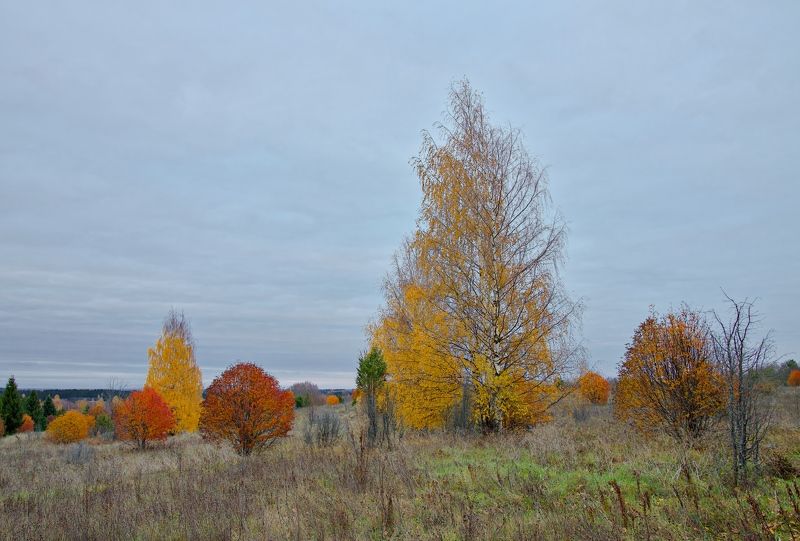 Просто октябрьphoto preview