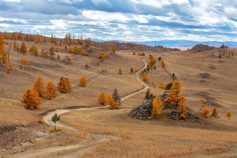 Тажеранская степьphoto preview