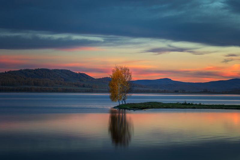 дерево осень закат пейзаж photo preview