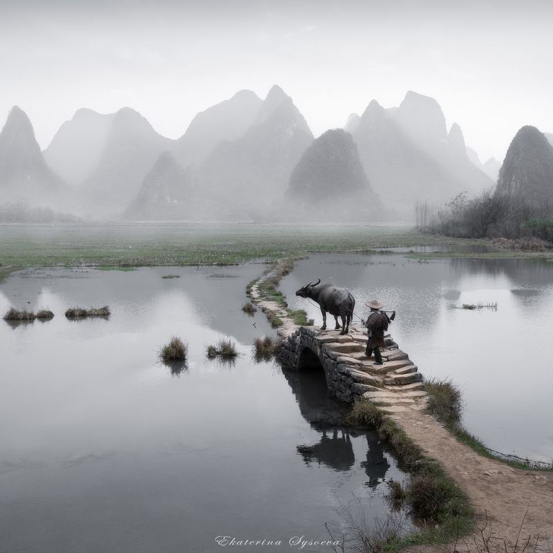 Китай, фототур в Китай, китайская живопись, карстовые холмы, Гуйлинь Пора на работуphoto preview