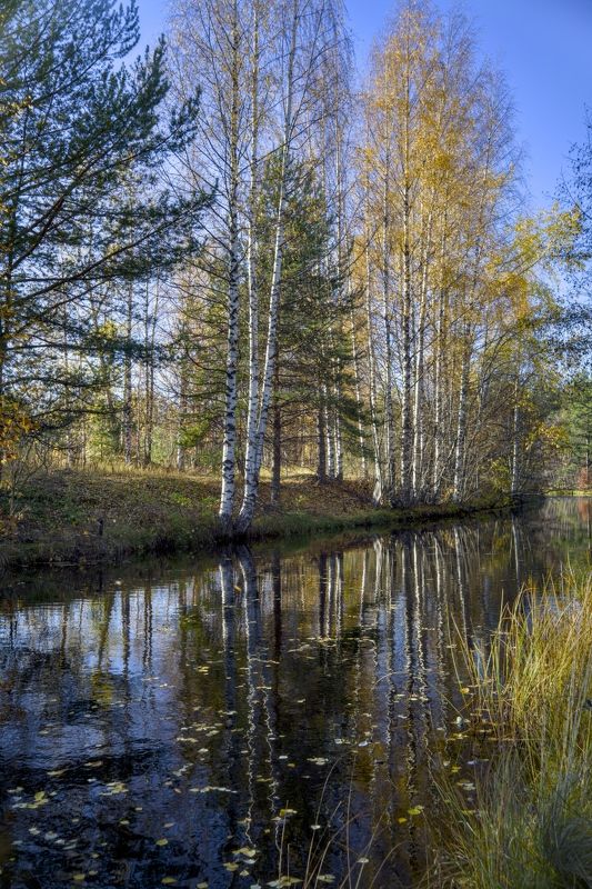 Хороший осенний деньphoto preview