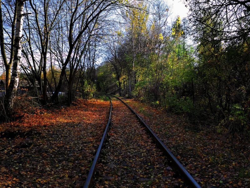 Дорога из лета в осень..photo preview