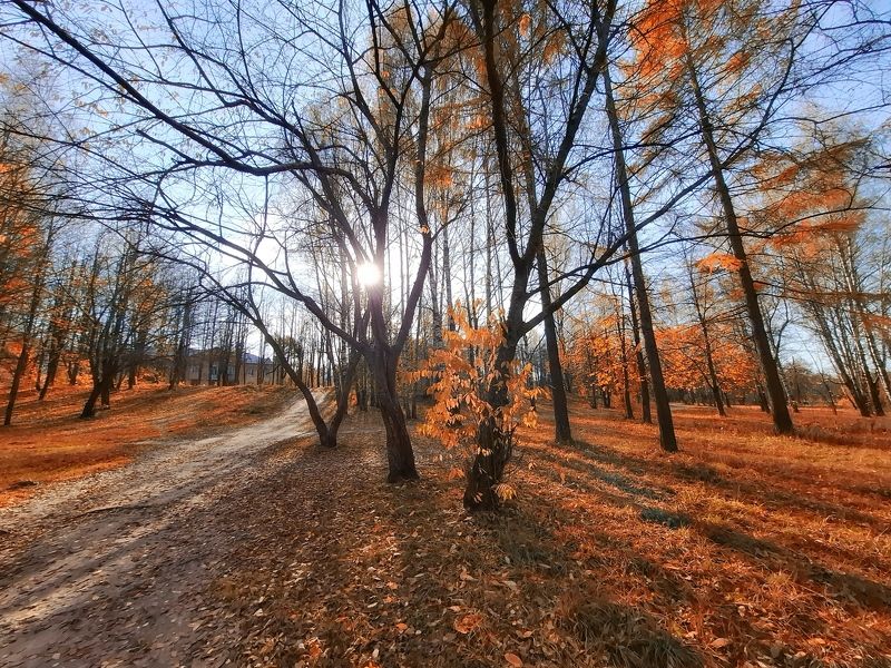 В обьятьях осени....photo preview