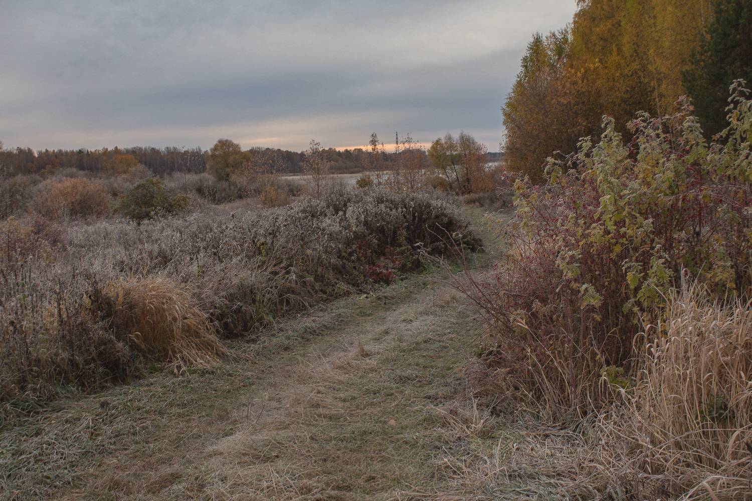 Автор: Галина Луценко , Галина Луценко