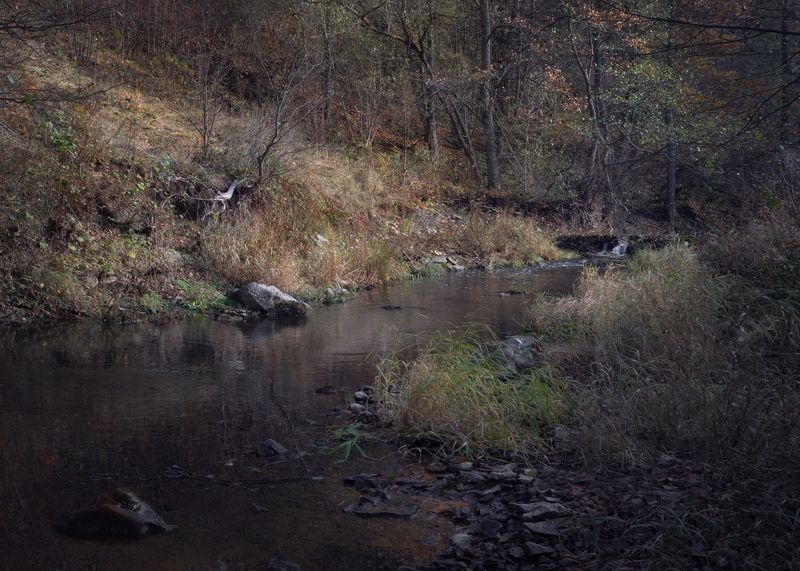 #пезаж #осень photo preview