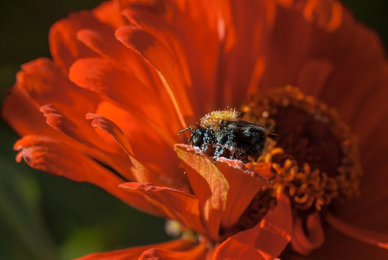 Весь в трудеphoto preview