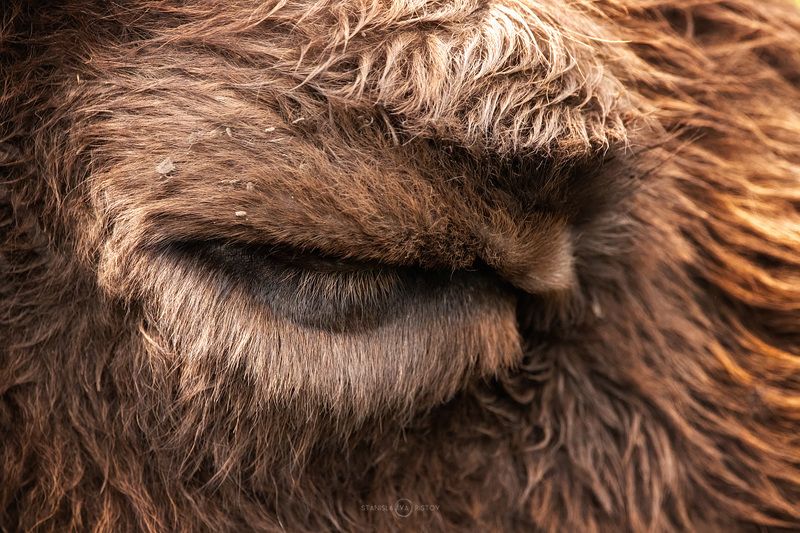 Отдыхphoto preview