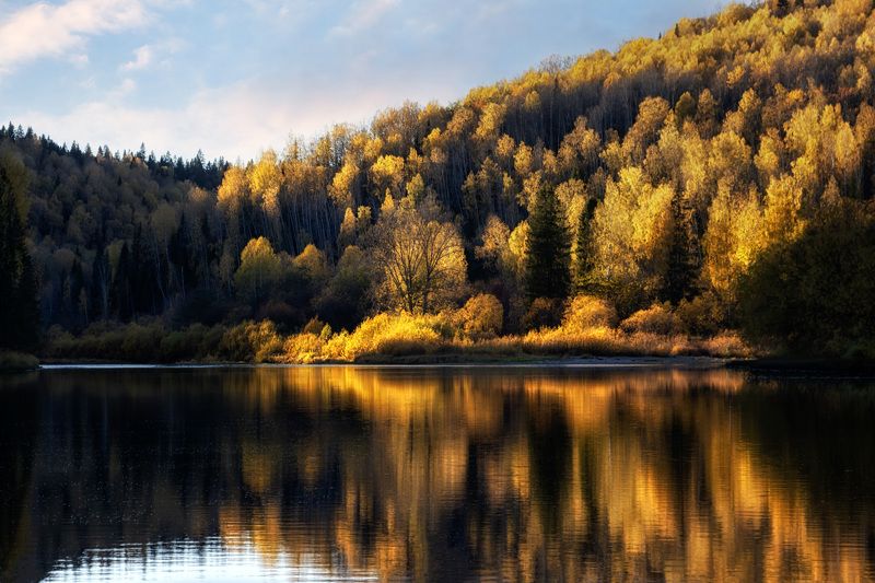 Яркая осеньphoto preview