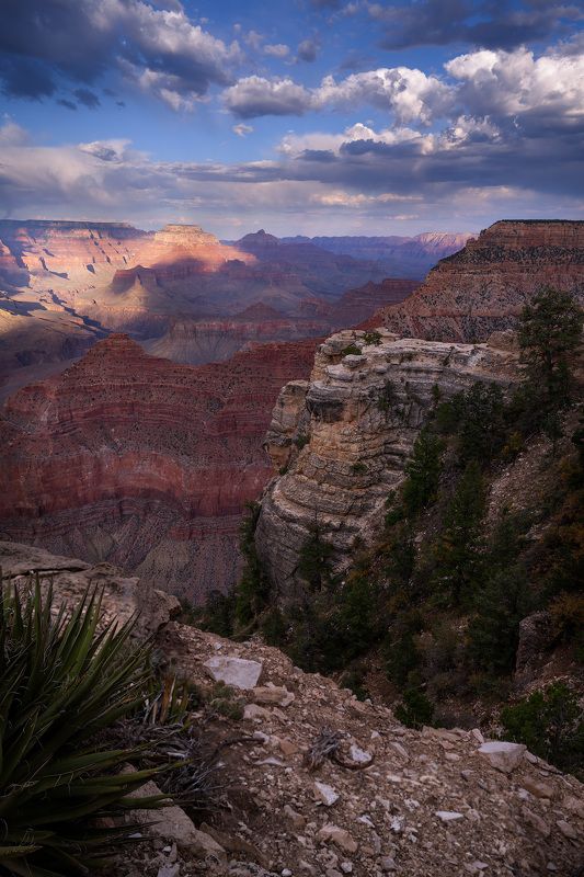 grand canyon, usa, arizona, The Grand Canyon of Arizonaphoto preview