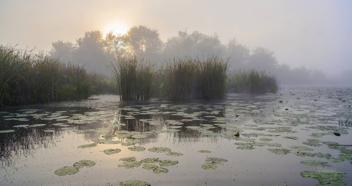 Туманное утро.. Автор: Александр Строков осень озеро рассвет туман пейзаж природа, Александр Строков