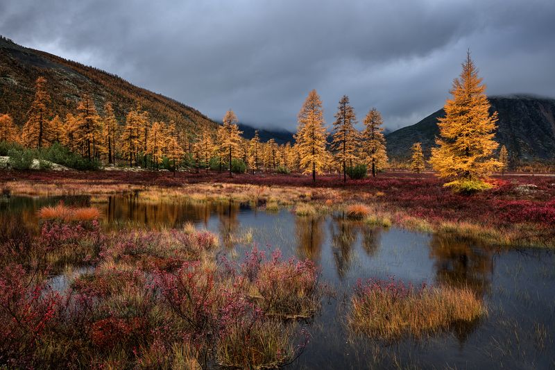 Снова пасмурно...photo preview