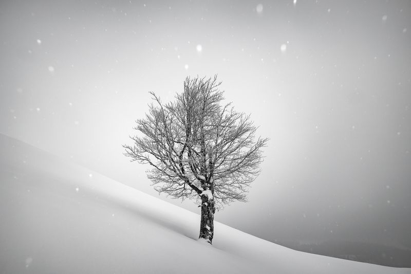 Soft blanketphoto preview