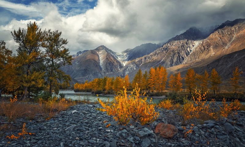 горный алтай,осень, река аргут,каменистое дно высохшего ручья,кустики карликовой берёзки Осенние костры...photo preview
