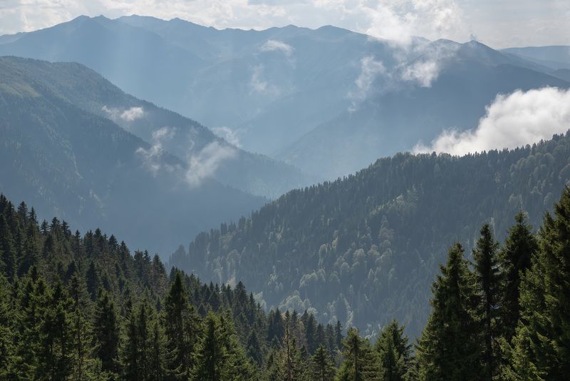 Градиентыphoto preview