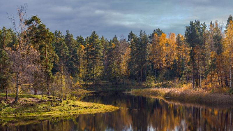 октябрь осень саврасово озеро краски вязниковский Октябрь. Саврасовоphoto preview