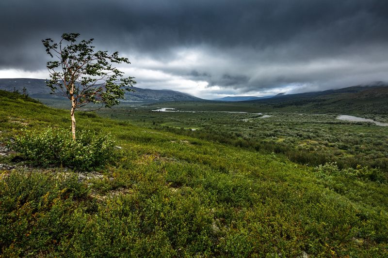 Полярный Урал фото превью