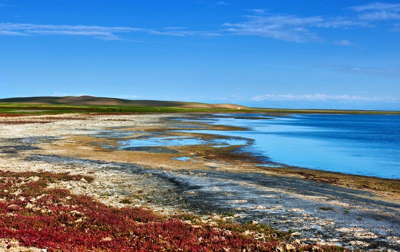 Монголия в цветеphoto preview