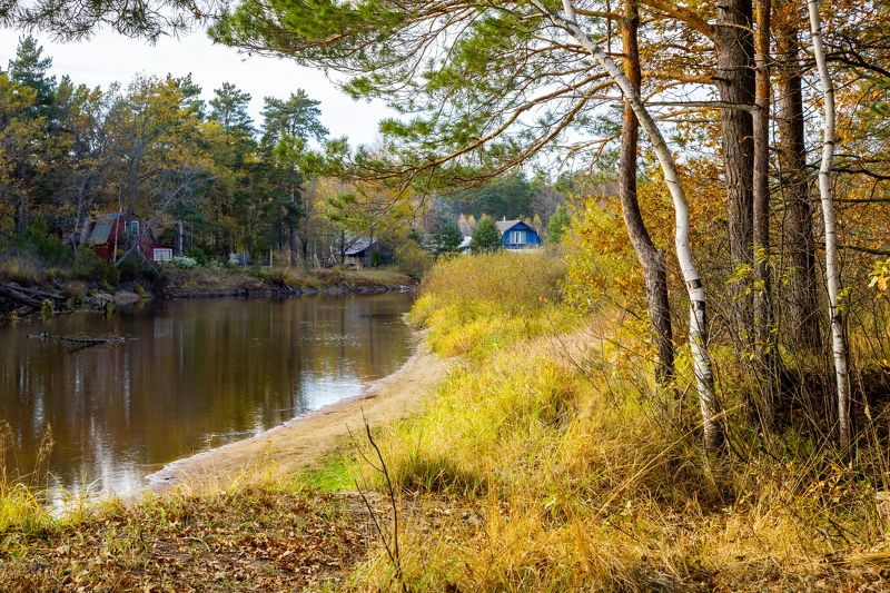 река Пра, осень, пейзаж Уединениеphoto preview