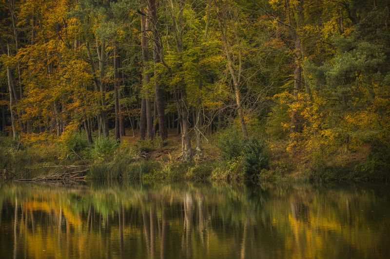 Horizontal, Reflection, Nature, Autumn, Tree, Lake, Forest, Day, Water Autumn impressions фото превью
