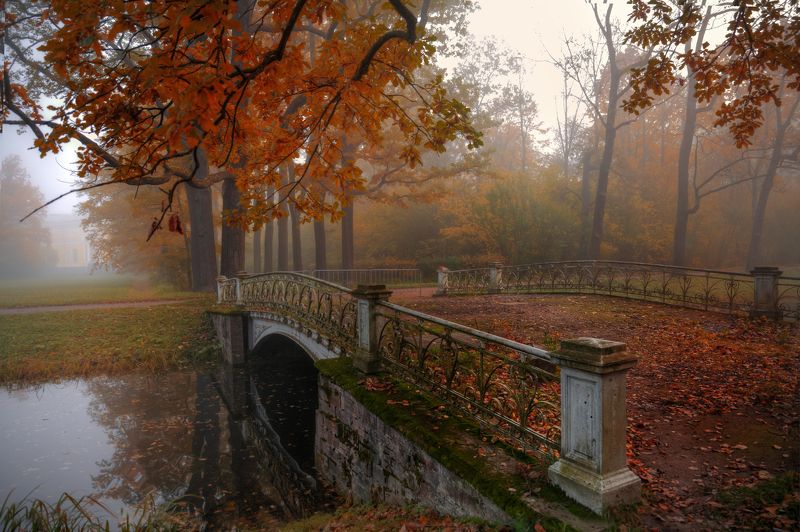 осень в парке...photo preview