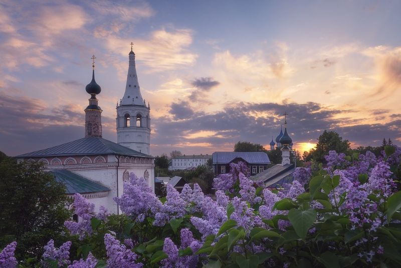 Сиреневый Суздальphoto preview