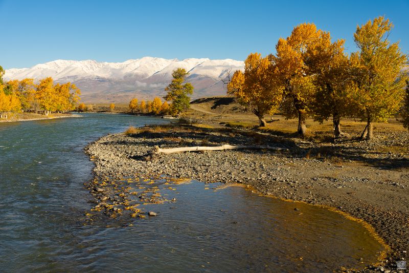 алтай Осенний цвет на берегах Чуиphoto preview