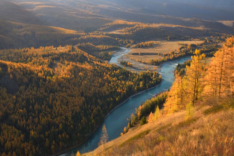 аргут алтай горный алтай джазатор Слияниеphoto preview