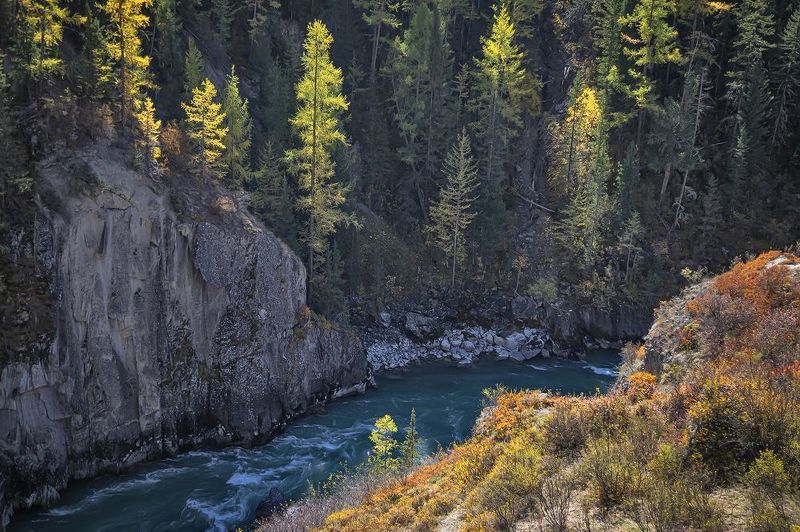 сентябрь Яркие краски осени. Алтай фото превью